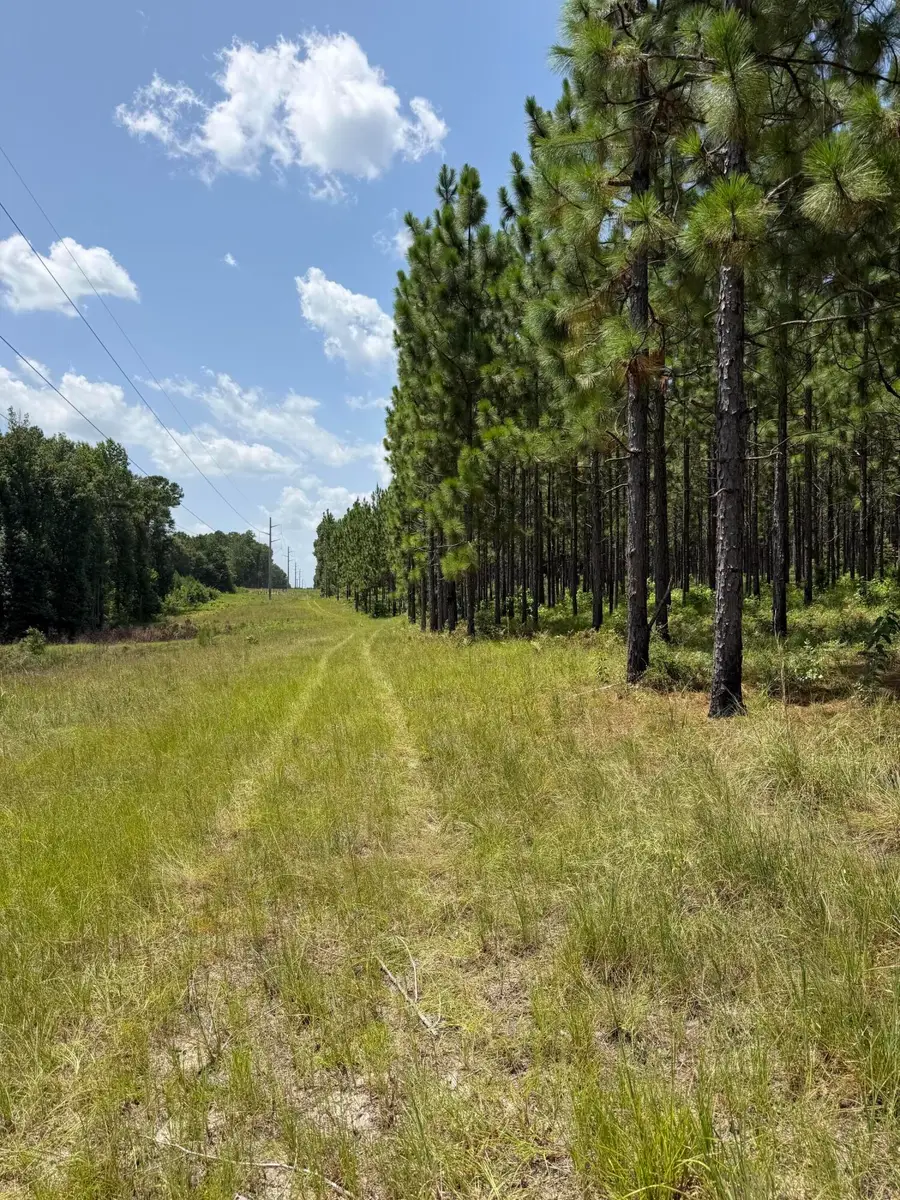 Parcel 4 Miller Farm Rd., Lumberton, MS 39455 - #3