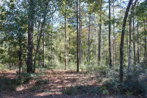 000 Marshal Pl, Petal, MS 39465