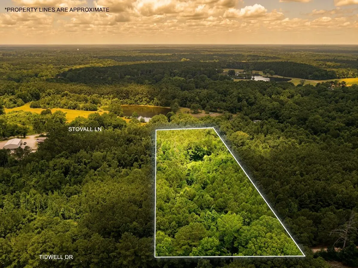 Parcel 4 Stovall Ln., Summit, MS 39666 - #1