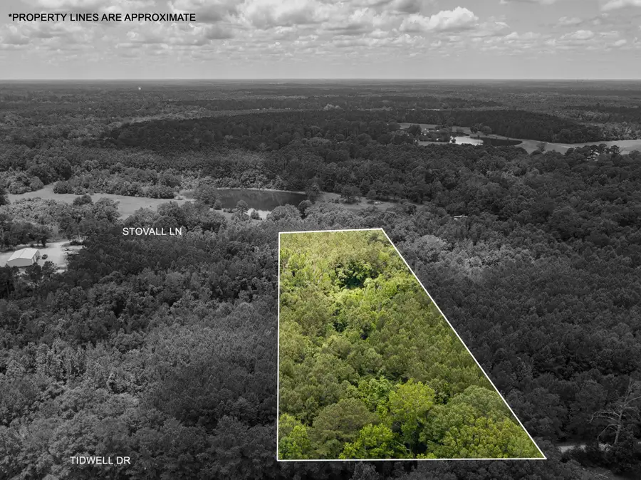 Parcel 4 Stovall Ln., Summit, MS 39666 - #2
