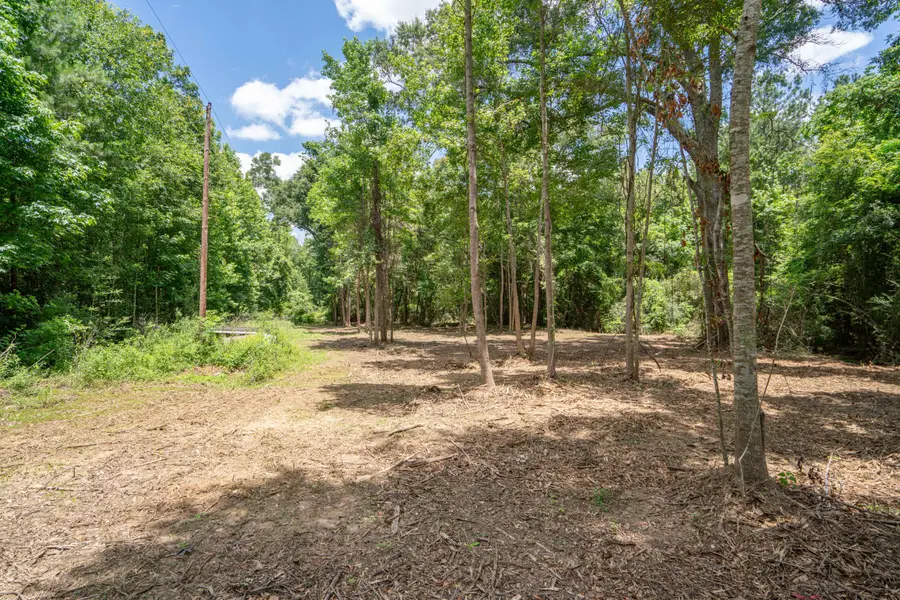 Parcel 4 Stovall Ln., Summit, MS 39666 - #3