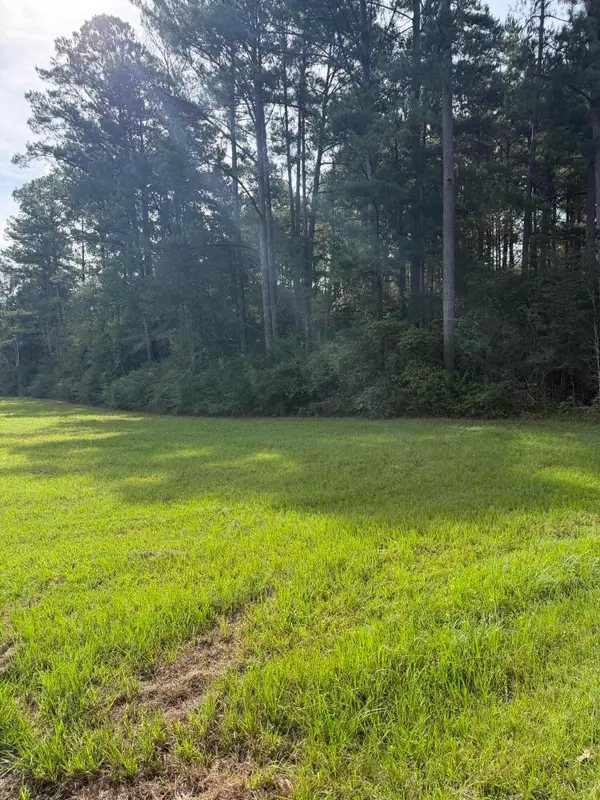 1.97 acres Lott Town Road, Sumrall, MS 39402