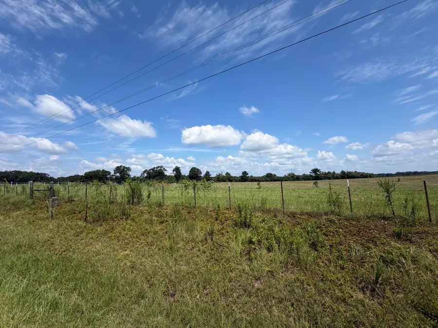 8 Acre Magnolia, Lumberton, MS 39455 - #2