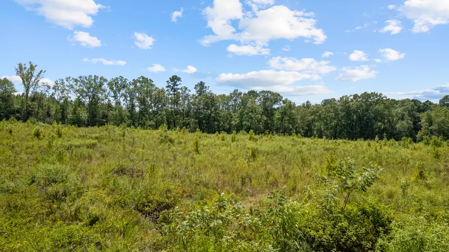 00 J D Broome Rd., Sumrall, MS 39482 - #3
