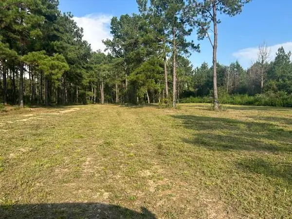 00 New Hope Rd, Sandy Hook, MS 39478