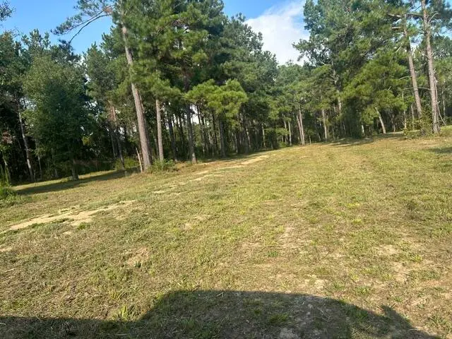 00 New Hope Rd, Sandy Hook, MS 39478 - #3
