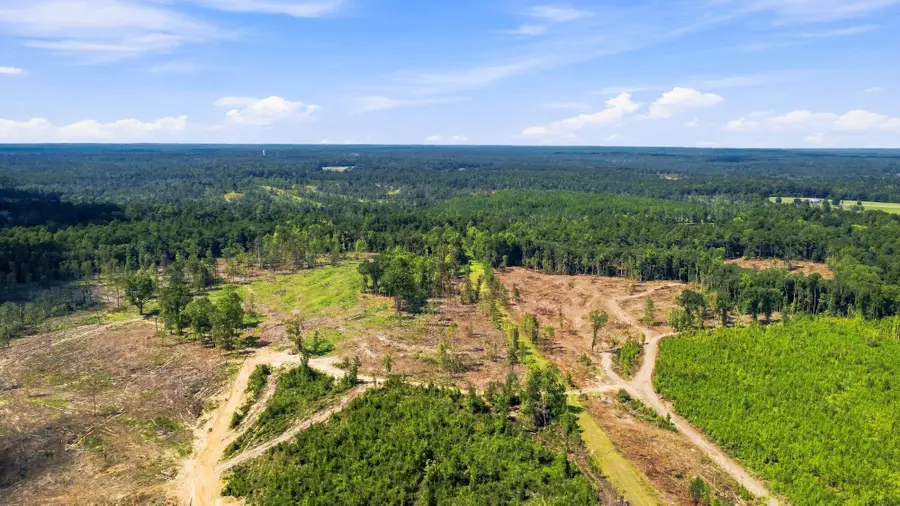 60 Mol Ac Dean Turner Ext., Leakesville, MS 39451 - #3