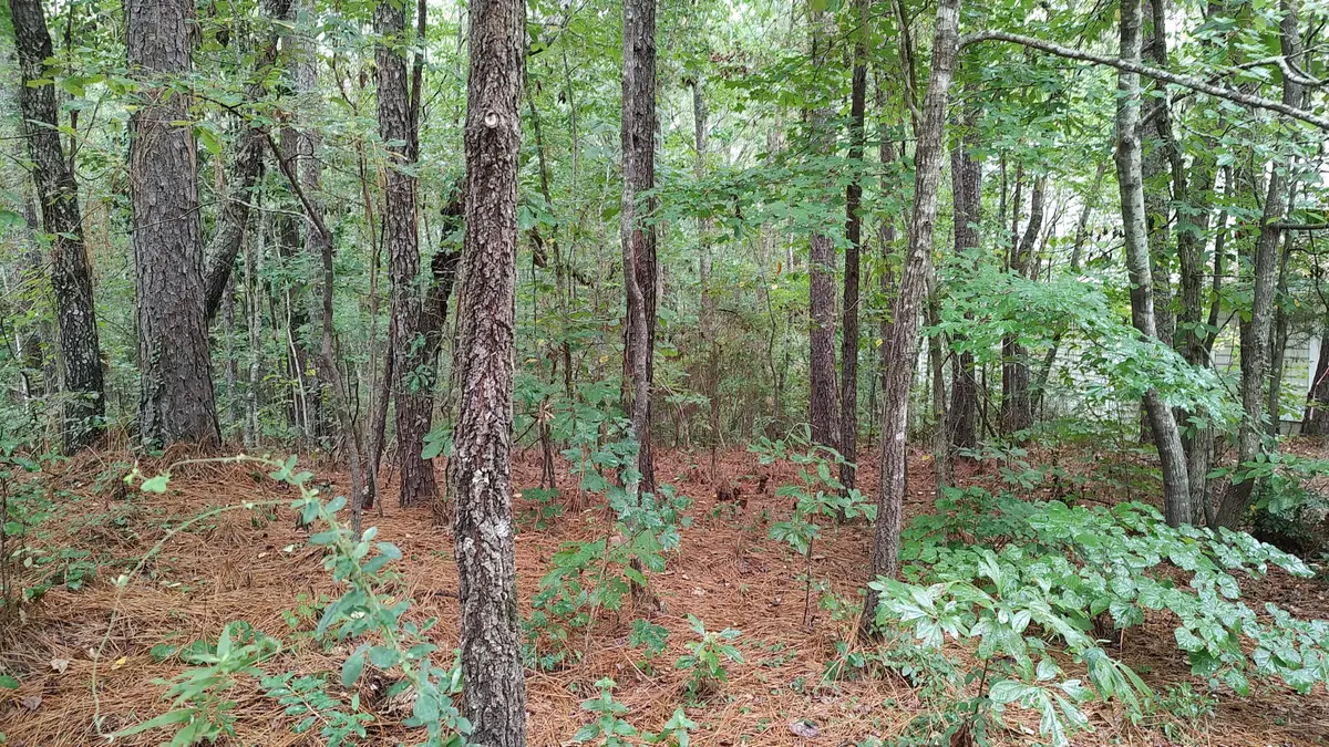 5 Stoneridge, Hattiesburg, MS 39402 - #1