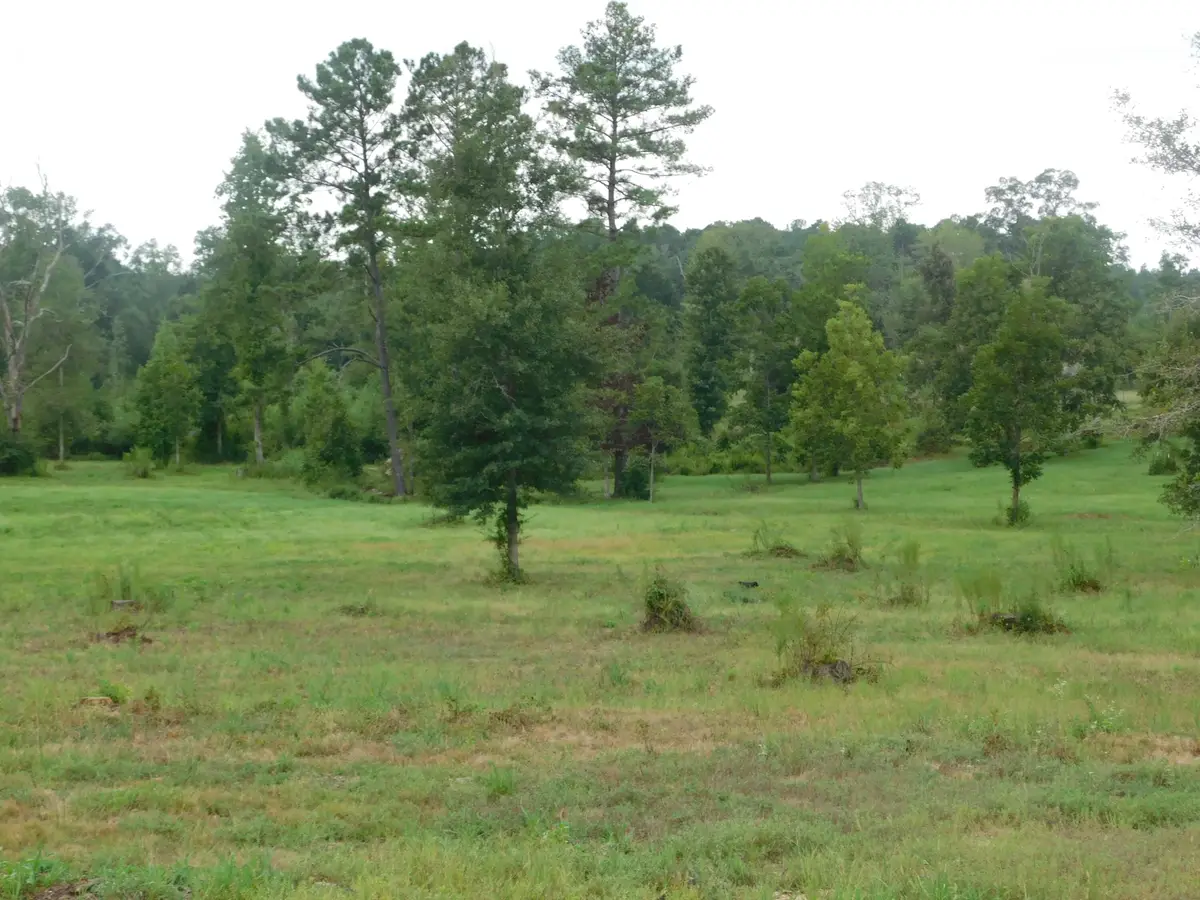 0000 Rocky Branch Rd., Columbia, MS 39429 - #1