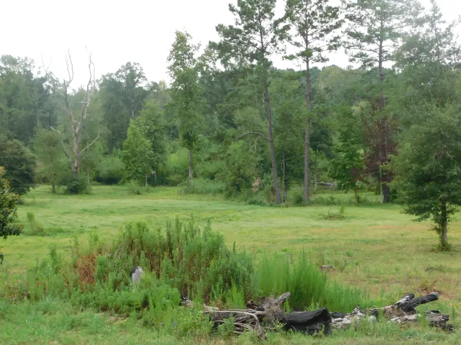 0000 Rocky Branch Rd., Columbia, MS 39429 - #2