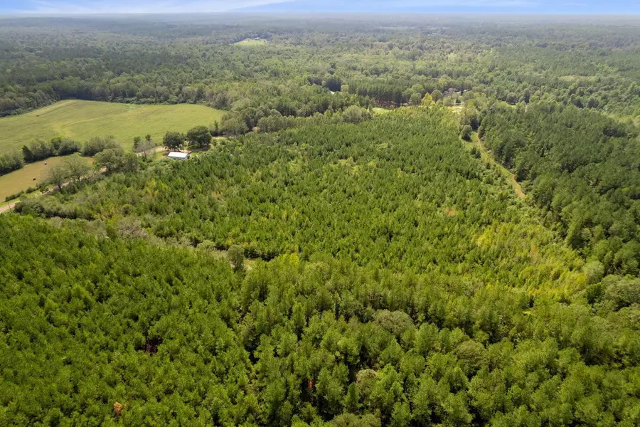 3 Dora Barber, Tylertown, MS 39667 - #2