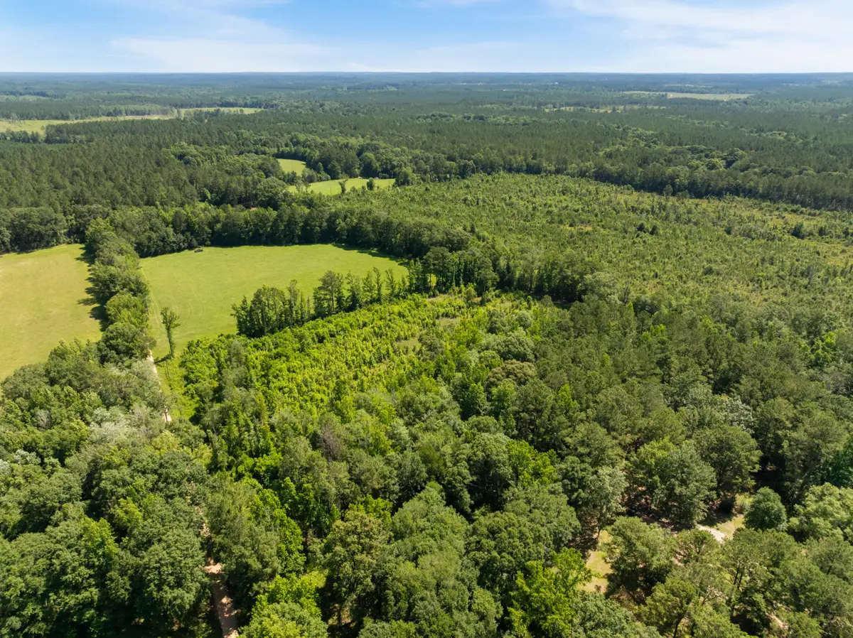 00 Ab Jordan Dr., Richton, MS 39476 - #1