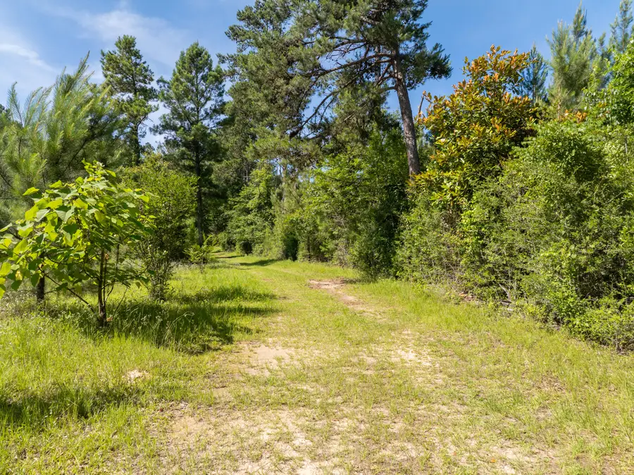 00 Ab Jordan Dr., Richton, MS 39476 - #3