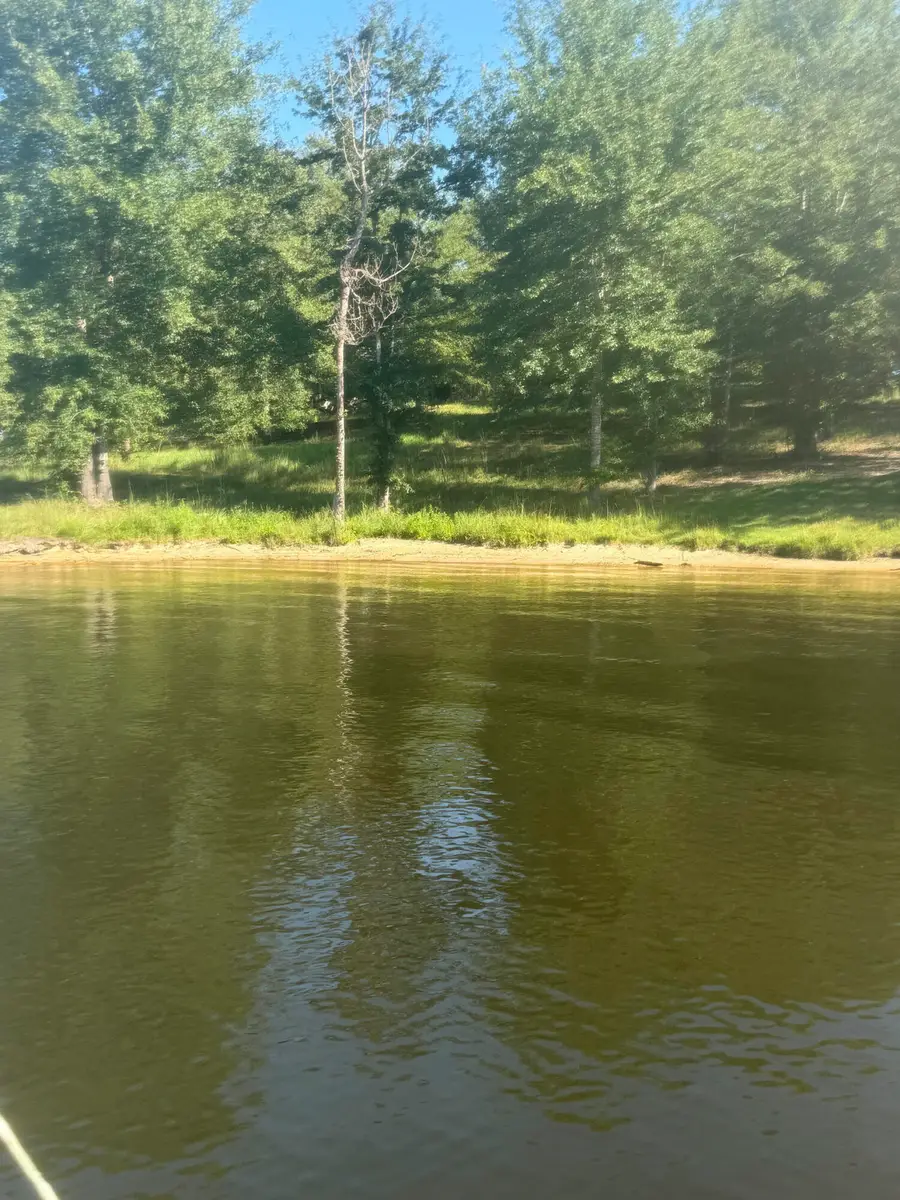 265 Big Bay Blvd (#5 Cranes Bill), Lumberton, MS 39455 - #2