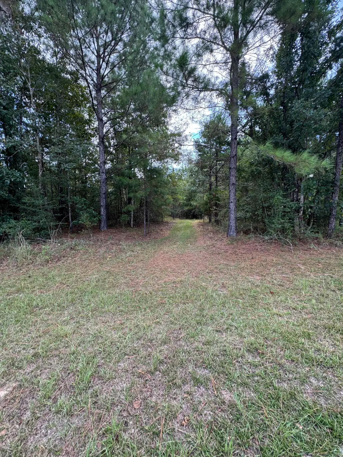 Lot S-12 Big Bay Blvd, Lumberton, MS 39455 - #1