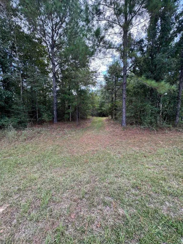 Lot S-12 Big Bay Blvd, Lumberton, MS 39455