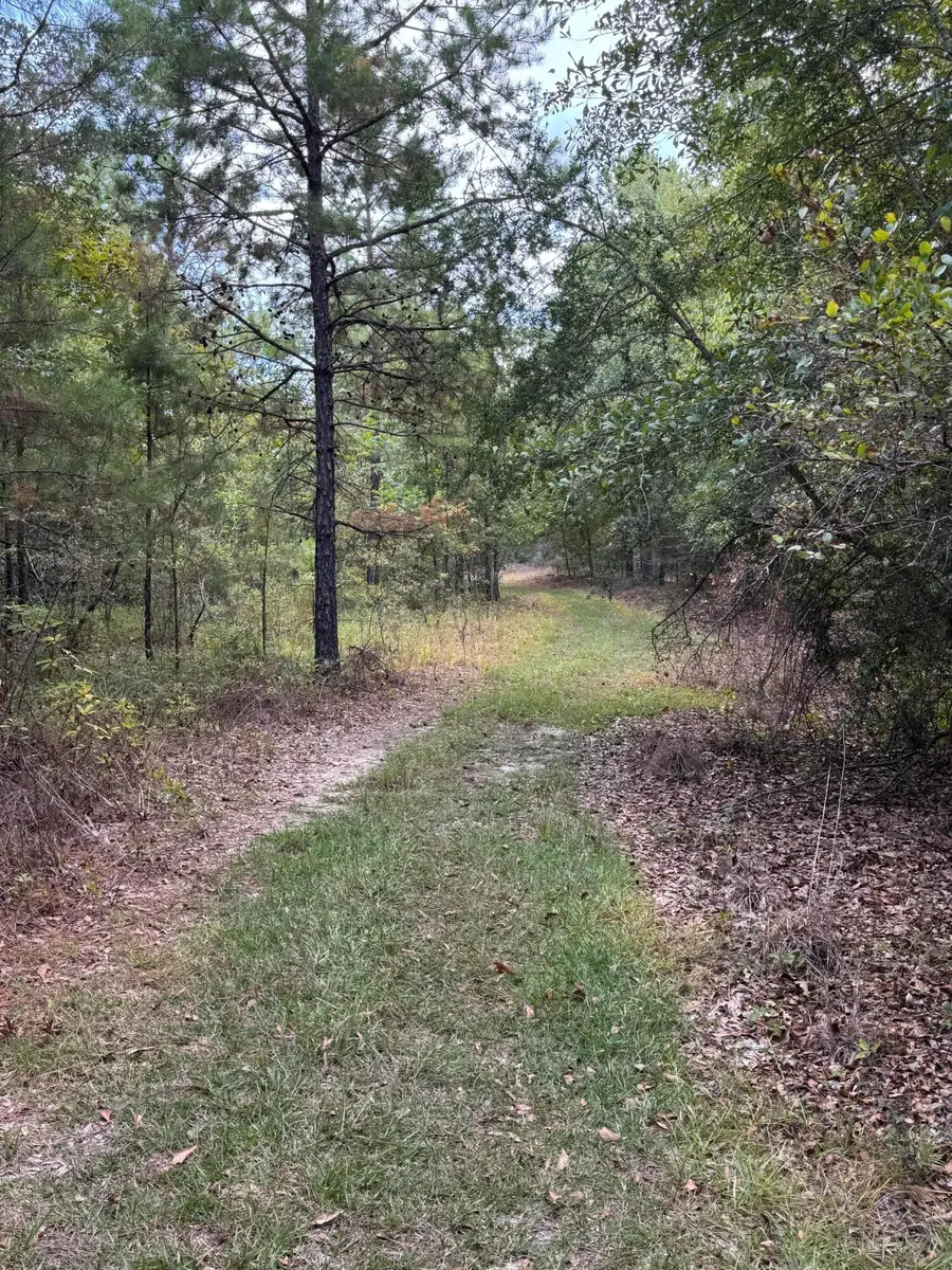 Lot S-12 Big Bay Blvd, Lumberton, MS 39455 - #2