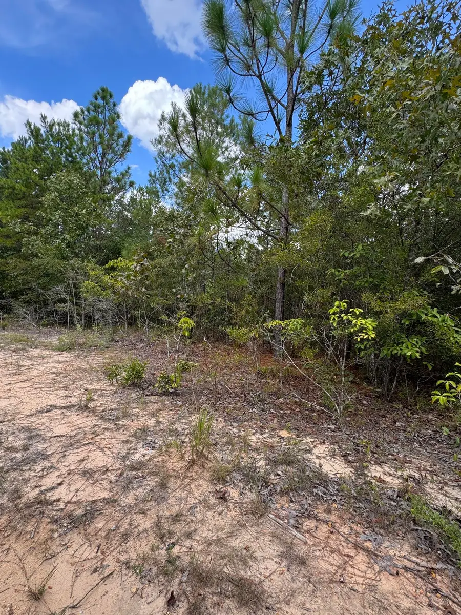 Lot S-12 Big Bay Blvd, Lumberton, MS 39455 - #3
