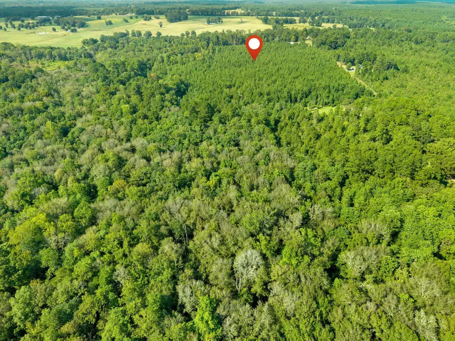 Address Withheld By Seller, Bassfield, MS 39421 - #2