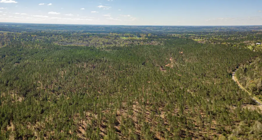 Lot 7 Timothy Rd., Ellisville, MS 39437 - #3