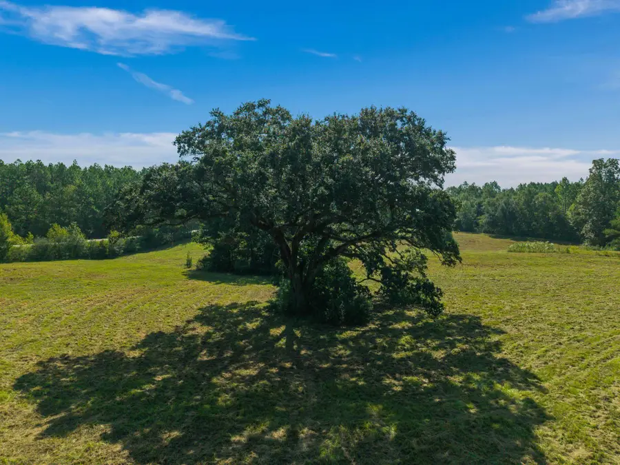 00 Beach, Purvis, MS 39475 - #3
