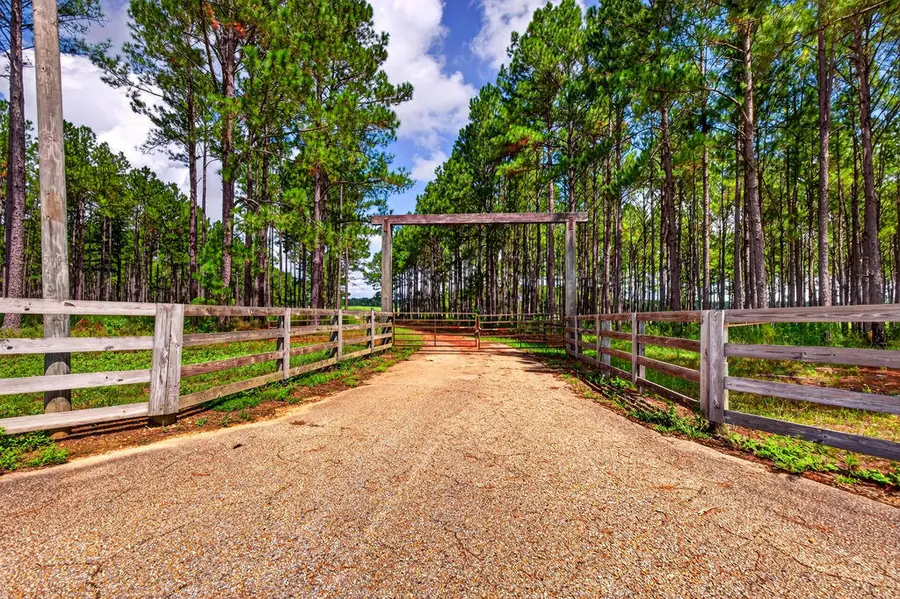 552 Yawn School, Lumberton, MS 39455 - #2
