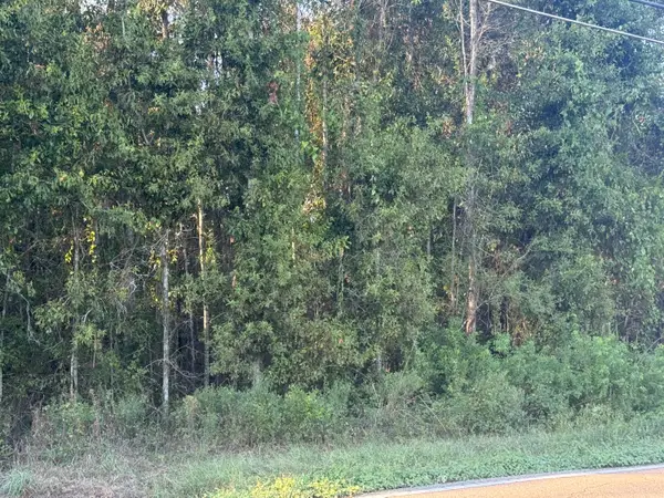 00 Hillcrest Loop, Petal, MS 39465