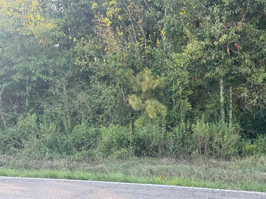 00 Hillcrest Loop, Petal, MS 39465 - #2