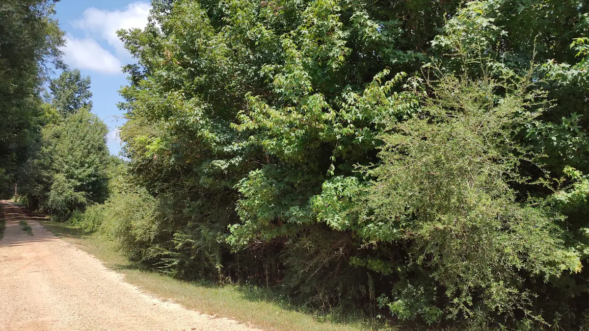 NHN Worth Nall Rd., Lumberton, MS 39455 - #1