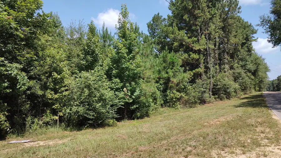 NHN Worth Nall Rd., Lumberton, MS 39455 - #2