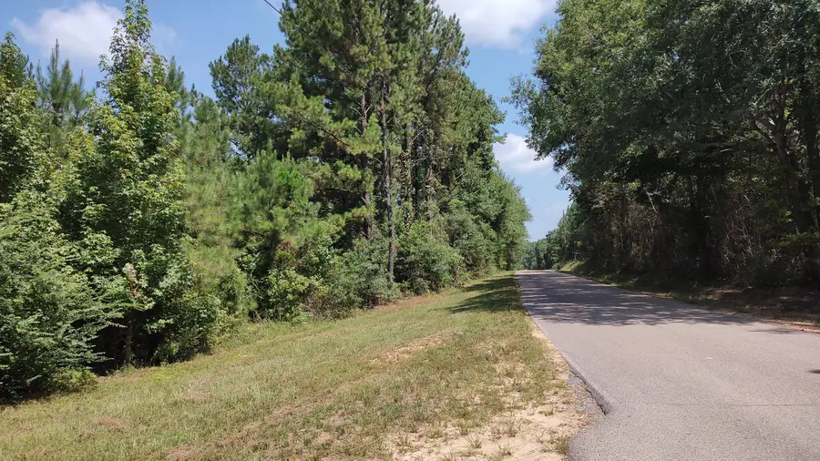 NHN Worth Nall Rd., Lumberton, MS 39455 - #3