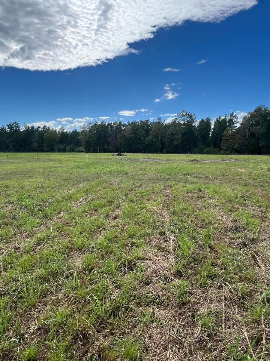 18 Blackbird Ln., Petal, MS 39465 - #2