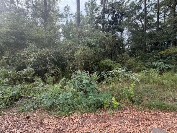 0 Webb St., Ellisville, MS 39437