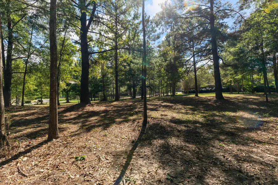 Lot 104 Buckskin Dr., Hattiesburg, MS 39402 - #3
