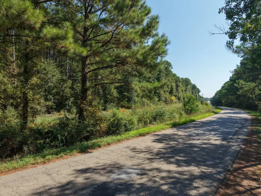 00 Old Us Highway 98 E, Hattiesburg, MS 39401 - #2