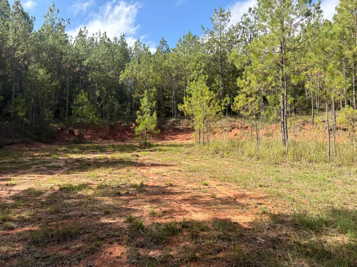 0 County Rd 110, Shubuta, MS 39360 - #1