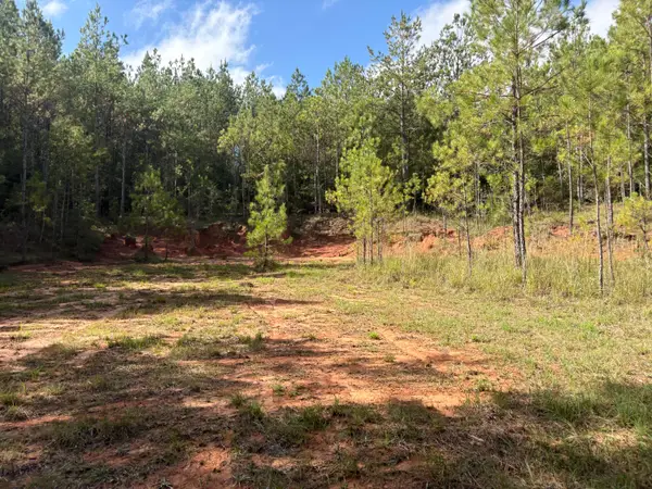 0 County Rd 110, Shubuta, MS 39360