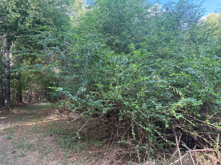 0 County Rd 110, Shubuta, MS 39360 - #3