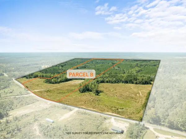 Parcel B Beat 4 Shubuta, Waynesboro, MS 39360