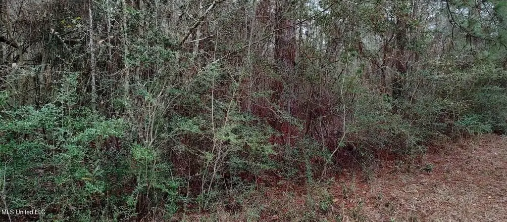 NHN Laura St., Lumberton, MS 39455 - #1