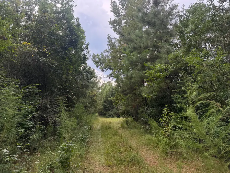 2222 Alice Dr., Hattiesburg, MS 39402 - #3