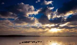 Lot 10 Channelside Big Bay Lake, Lumberton, MS 39455 - Image #2