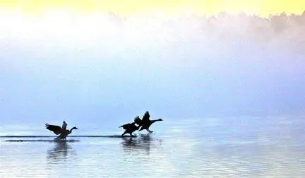 Lot 16 Channelside Big Bay Lake, Lumberton, MS 39455 - Image #3