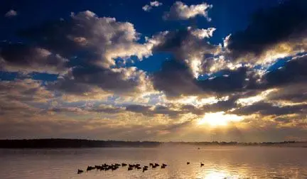 Lot 24 Branch Banks Big Bay Lake, Lumberton, MS 39455 - Image #2