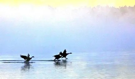 1 Willet Turn Big Bay Lake, Lumberton, MS 39455 - Image #2