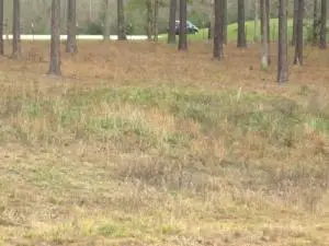 17 Josie Drive, Ellisville, MS 39437