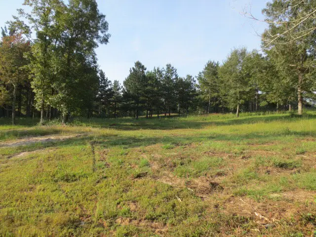 152 Joan Drive, Ellisville, MS 39437 - #1