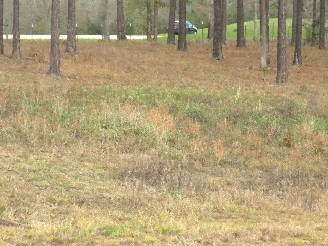 17 Josie Drive, Ellisville, MS 39437 - #1
