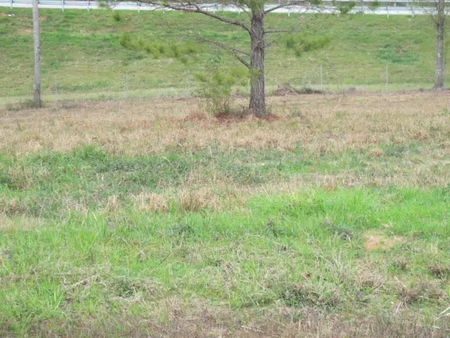 13 Josie Drive, Ellisville, MS 39437 - #1