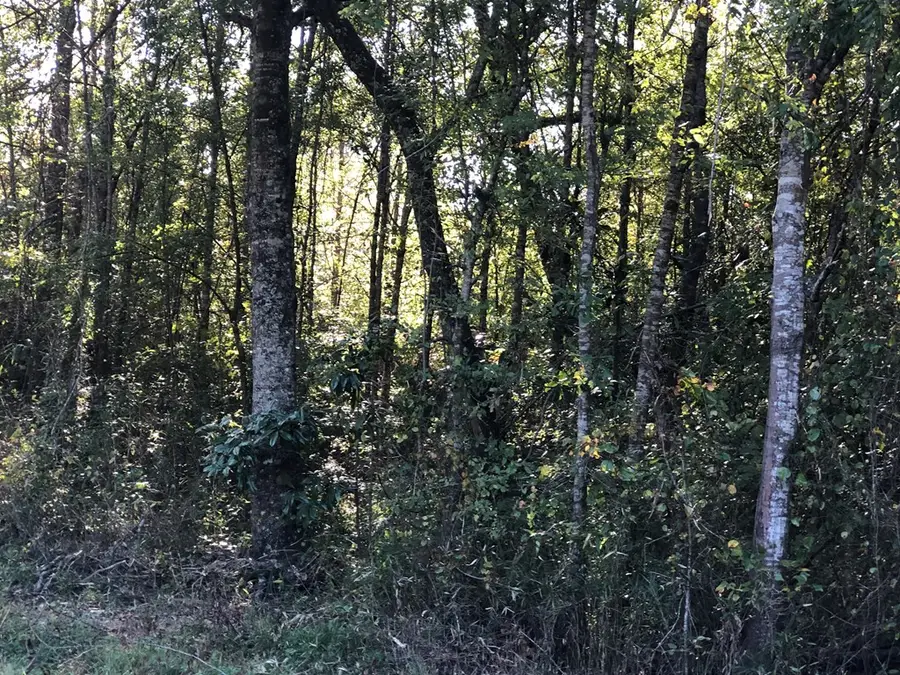 40 Barnett, Pachuta, MS 39347 - #2